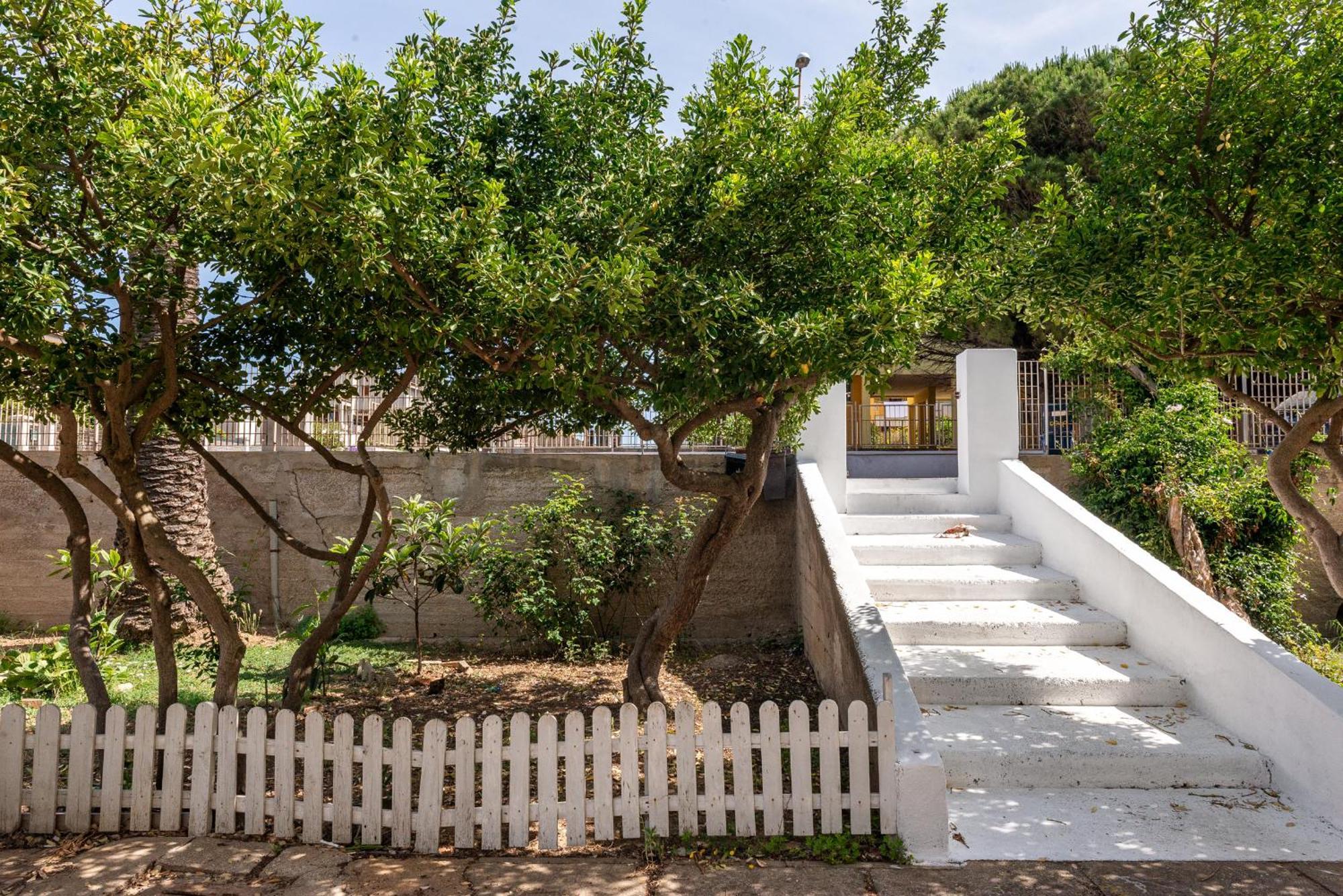 Guest House - Affittacamere Green Apartment - By Faendho 포르토 토레스 외부 사진